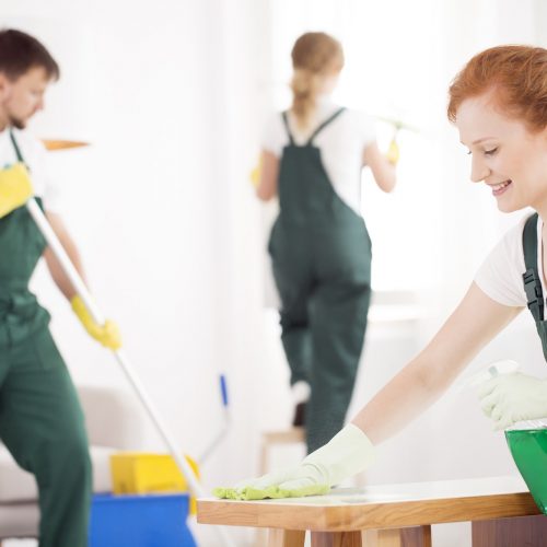cleaning-service-during-work.jpg cleaning-service-during-work.jpg